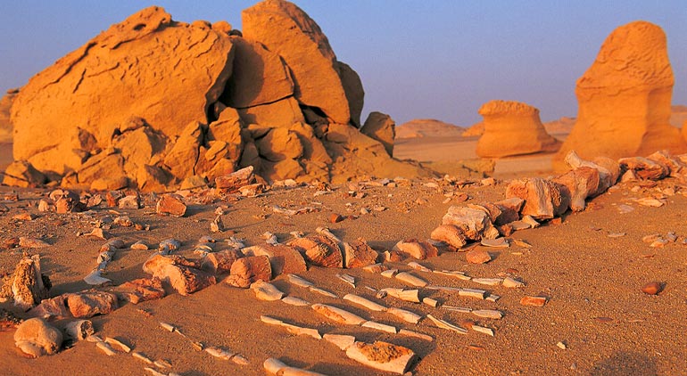 Wadi Hittan or Whale Valley