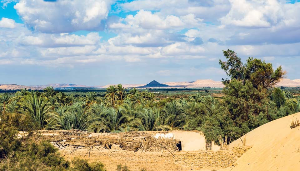 Bahariya Oasis